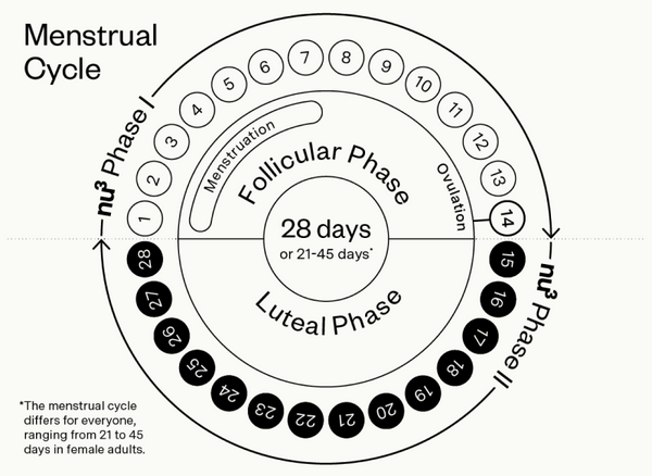 Il ciclo mestruale delle donne
