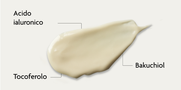 I principi attivi della crema notte