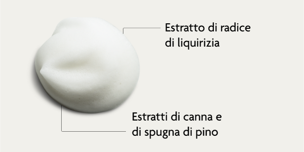 I principi attivi della mousse detergente viso