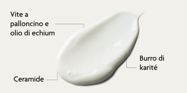 I principi attivi della crema idratante