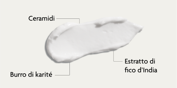 Ingredienti