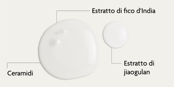 Ingredienti