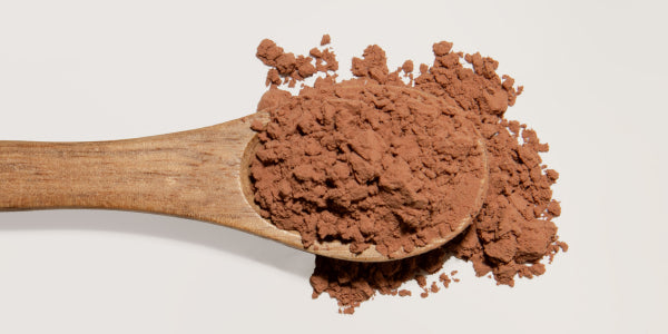 Polvere di cacao