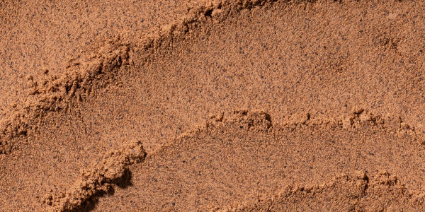 Polvere di guaranà