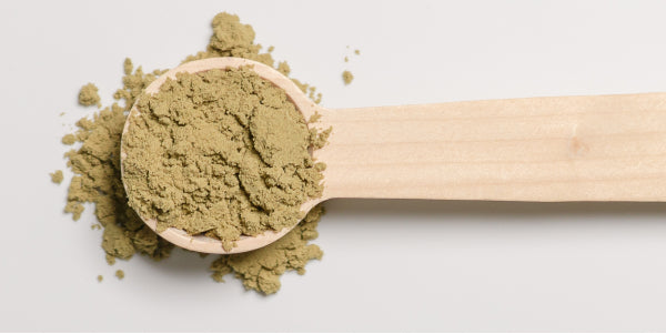 Proteine della canapa in polvere su un cucchiaio di legno