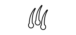 Icona capelli