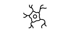 Cellula nervosa