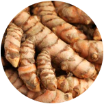 Curcuma